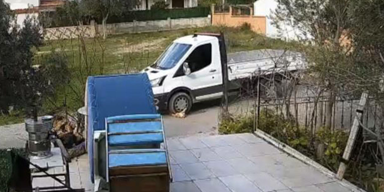 Yerde yatan köpeği ezip yoluna devam etti