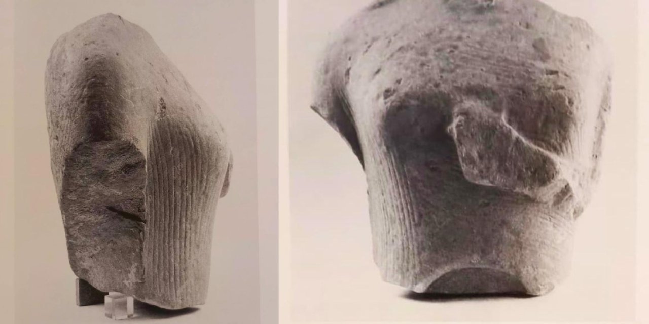 Doğaseverler Yılancıburnu’nun önemine dikkat çekti