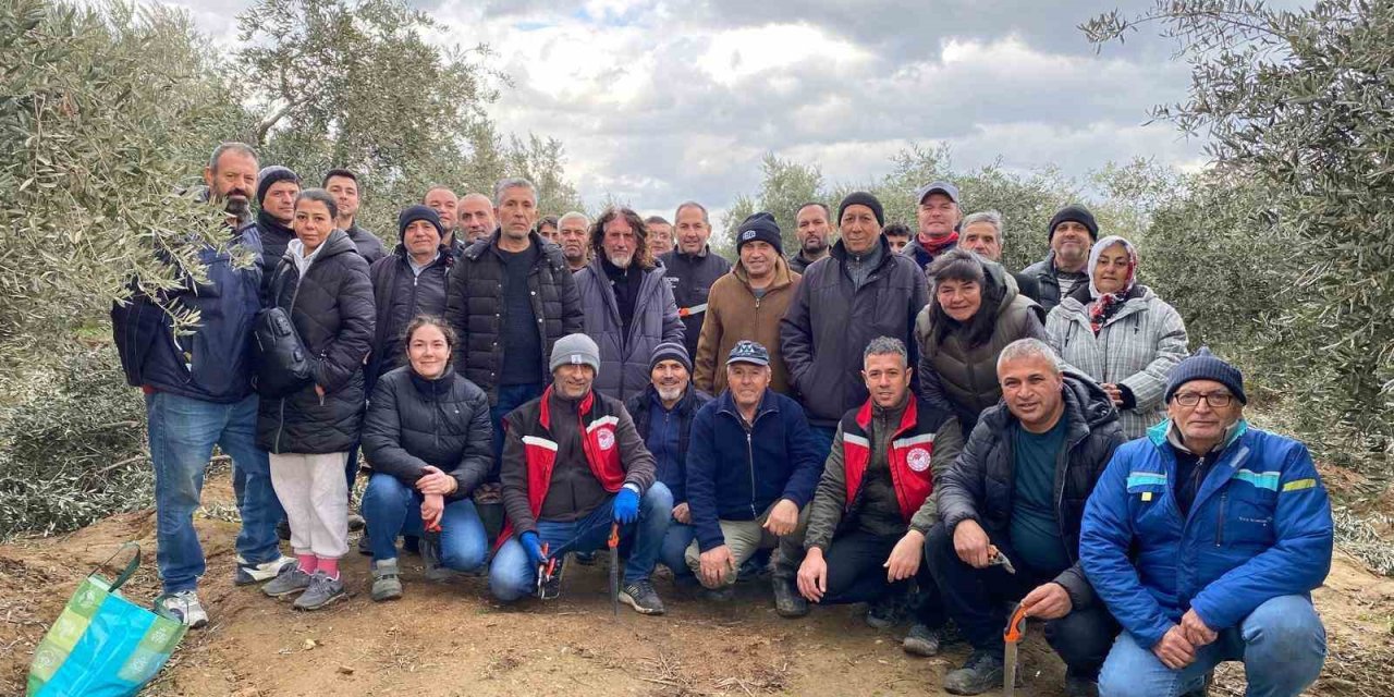 Salihli’de üreticilere ücretsiz budama kursuna yoğun ilgi