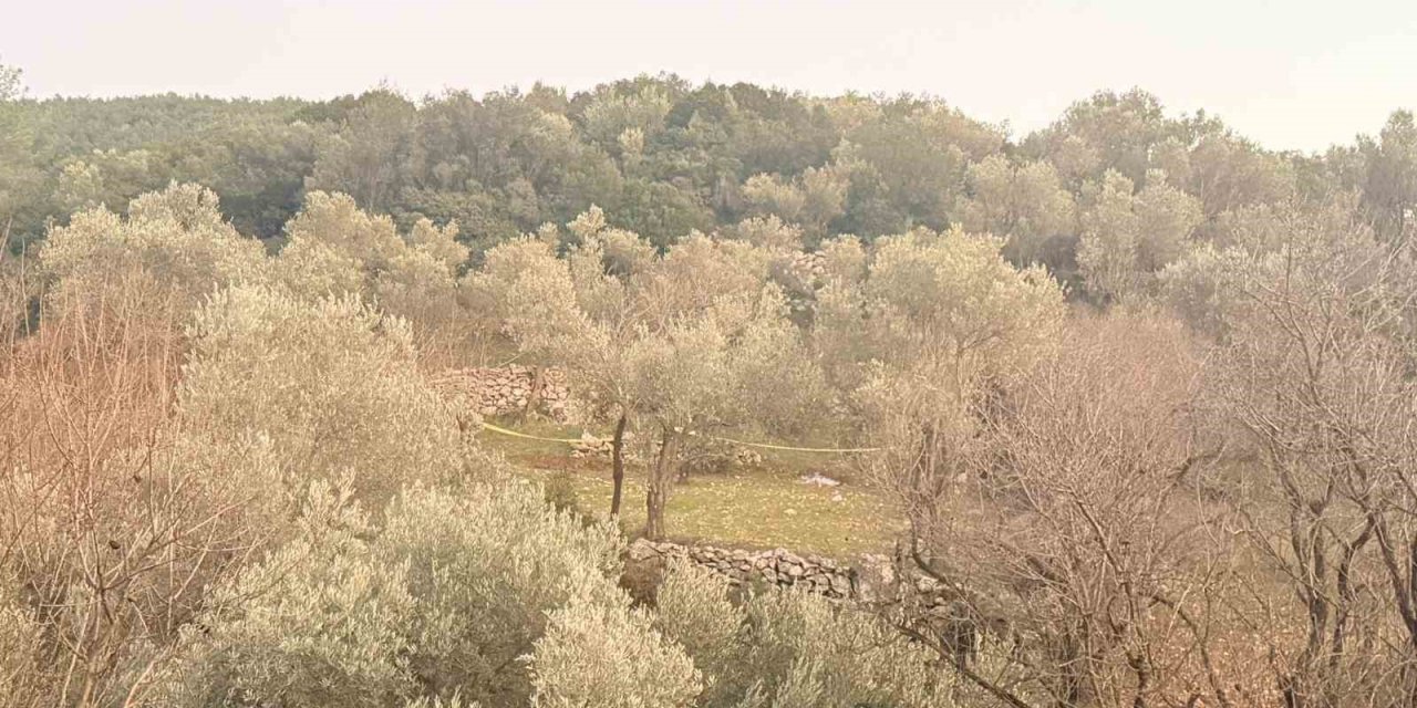 Tarlada aniden fenalaşan bir kişi hayatını kaybetti