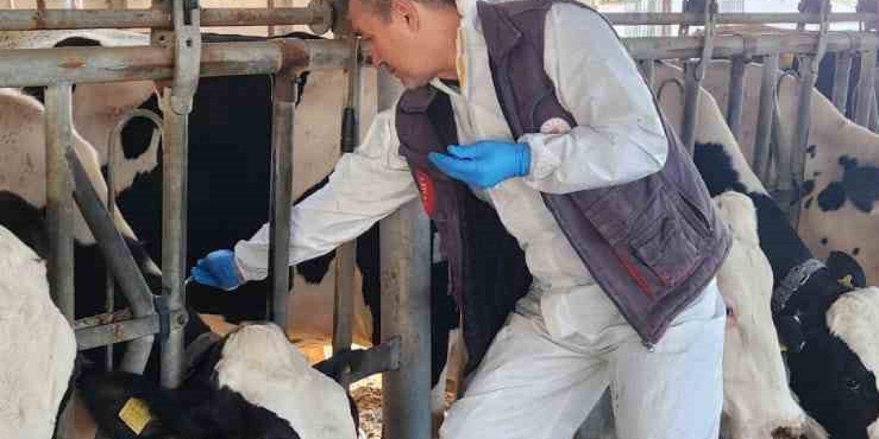 Söke TAYEM’de tüberküloz ve brucella taraması yapıldı