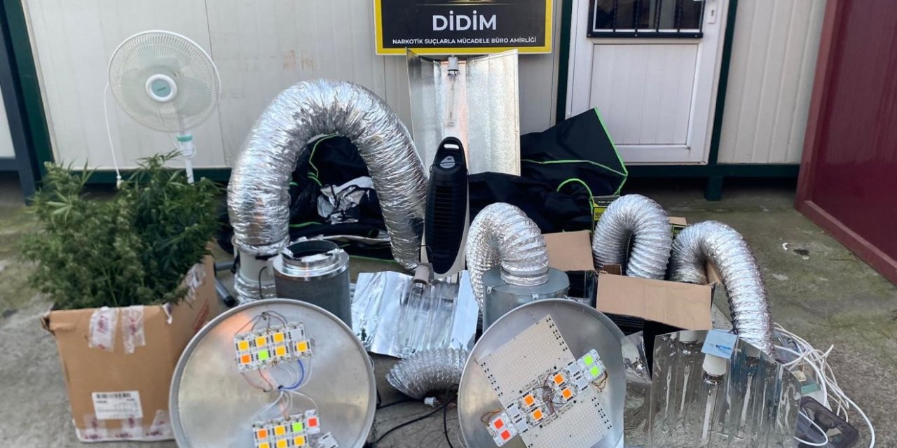 Didim’de uyuşturucu operasyonu: Kenevir yetiştirme kabini ele geçirildi