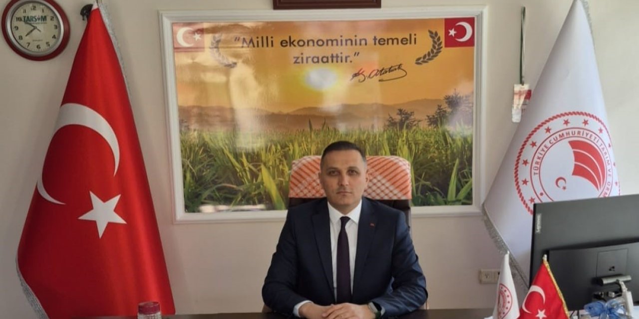 Çiftçilere yüzde 50 hibeli ayçiçeği tohumu dağıtılacak