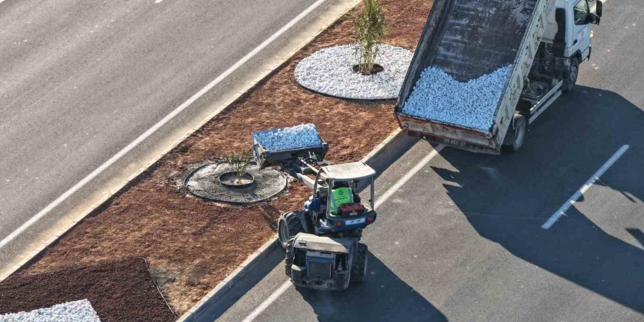 Aydın Büyükşehir Belediyesi’nden Acarlar-Şehir Hastanesi yolunda peyzaj düzenlemesi