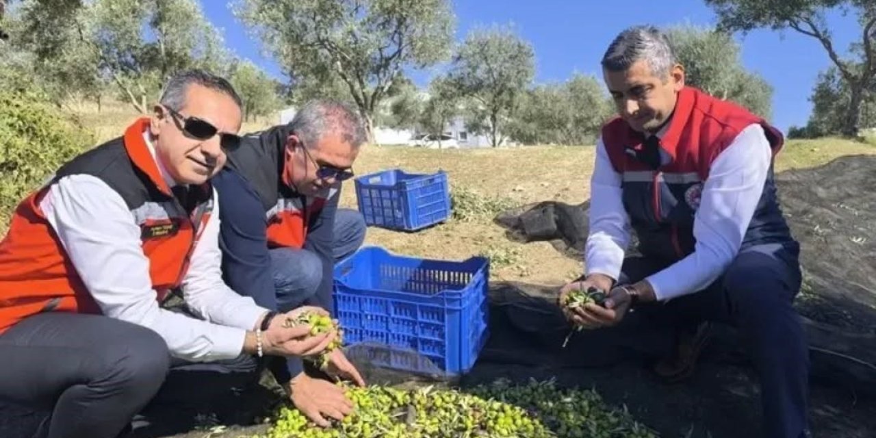 Aydın’da bir yılda 3 bini aşkın tarımsal denetim yapıldı