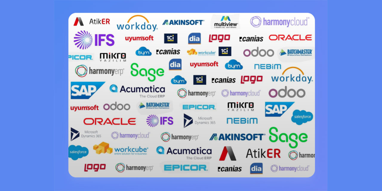 Verimlilik Mimarisini Kurmak: ERP Sistemlerinde Stratejik Adımlar