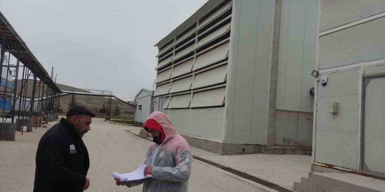 Kanatlı hayvan ve yumurta üretim tesislerinde denetim