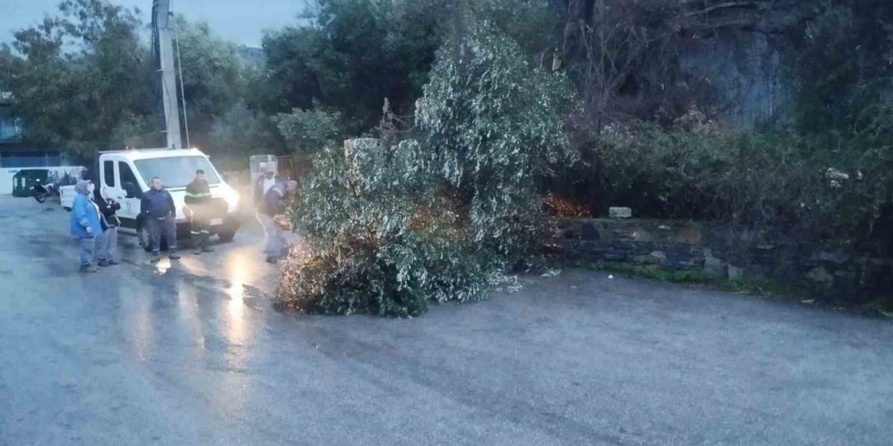 Bodrum’da fırtına etkili oldu