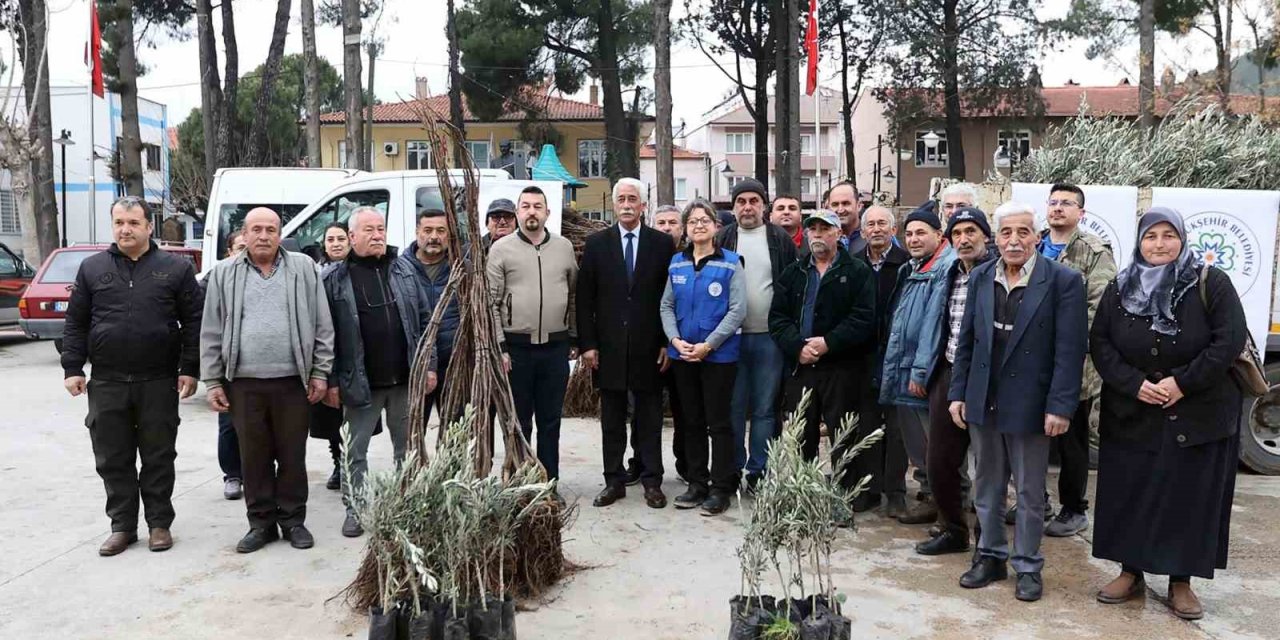 Ula’da üreticiye zeytin ve ceviz fidanı desteği