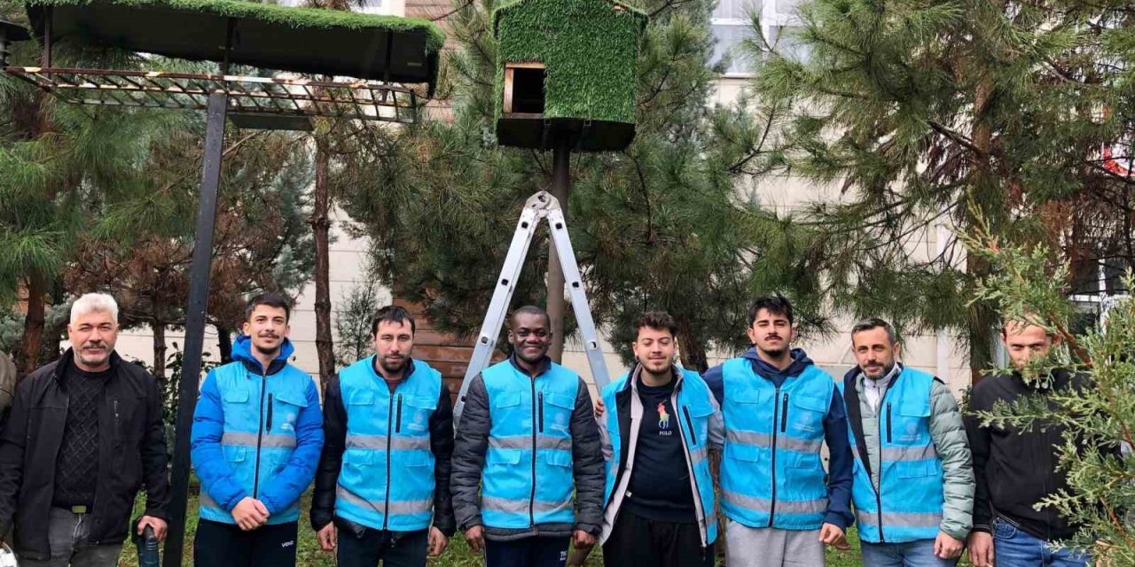 Yurt öğrencileri kuşlar için ev yaptılar