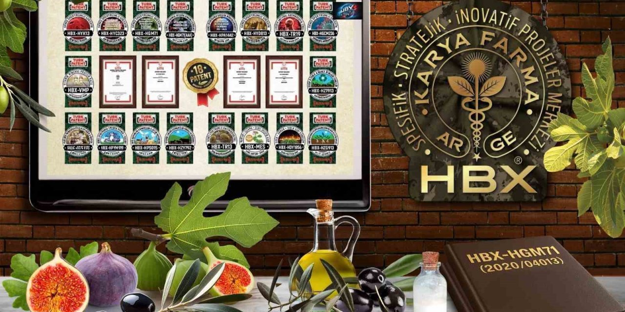Karya Farma HBX Ar-Ge; ’İncir ve Zeytin Bilimsel Araştırmalar Akademisi’ kuracak