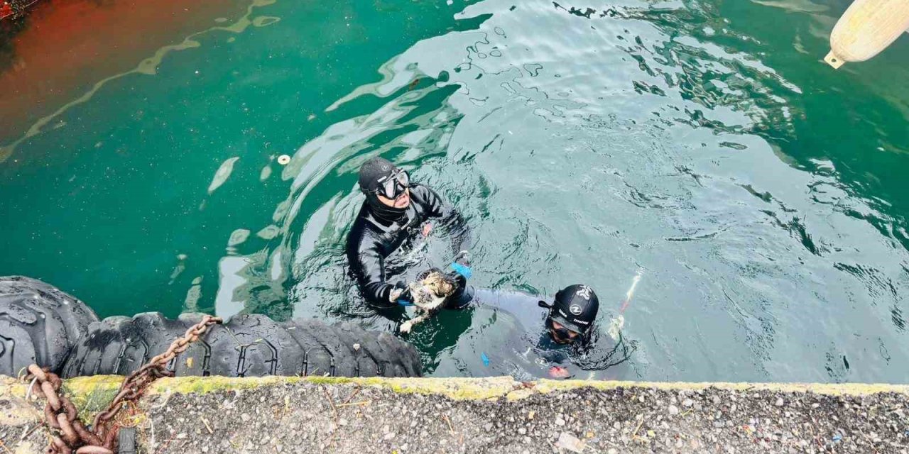 İzmir İtfaiyesi, iskele altında sıkışan kediyi kurtardı