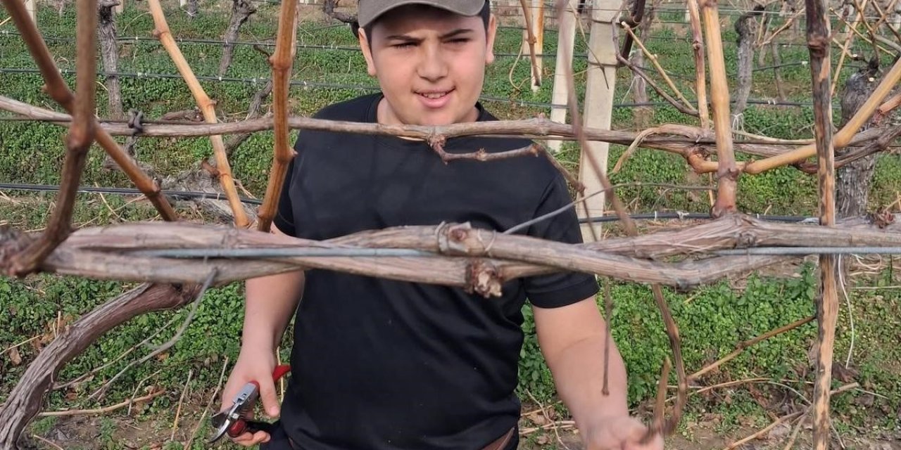 Yağmur bitti, çiftçi bağlara koştu