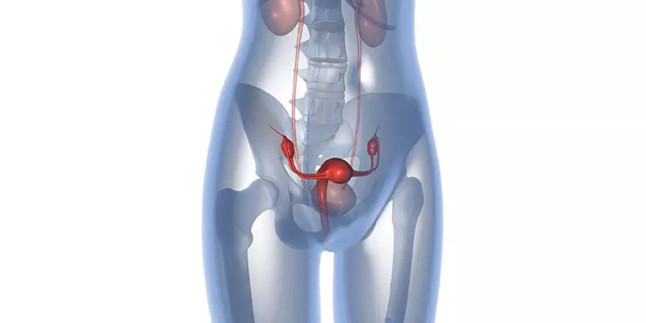 HSG Filmi (Rahim Filmi) Nedir?