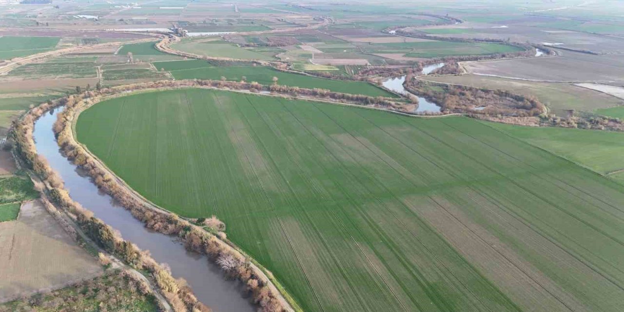 Menderes Nehri suya kavuştu
