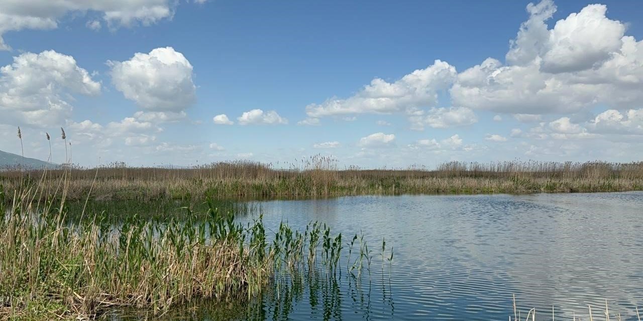 Yağışlar Eber Gölü’ne can suyu oldu, kiraz üreticisinin yüzü güldü