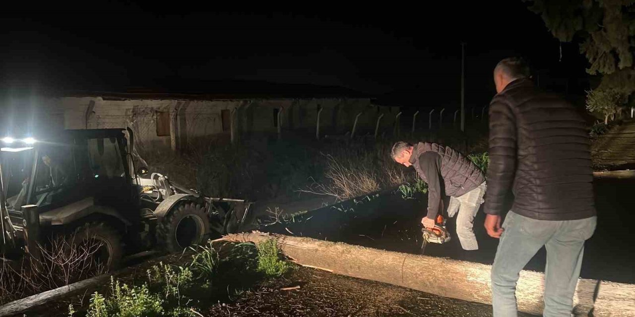 Fırtına mezarlıkta ağaçları devirdi, belediye ekipleri anında müdahale etti