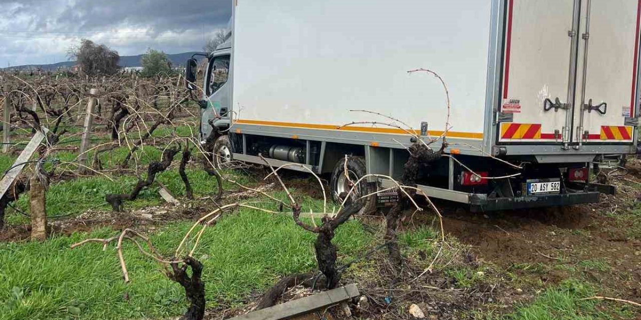 Sabıkalı yolda kamyon üzüm bağına girdi