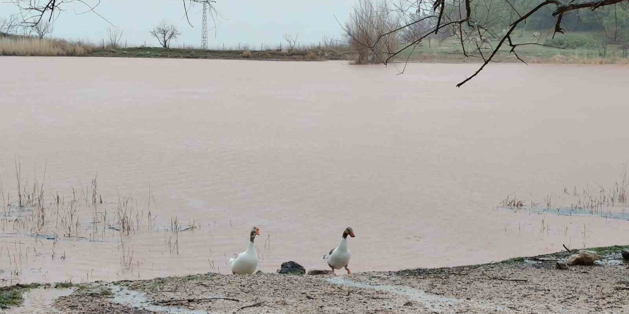 Kuruyan Sülüklü Göl yeniden canlandı