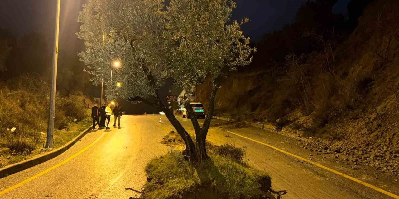 Dağdan kopan zeytin ağacı karayolunu ikiye böldü