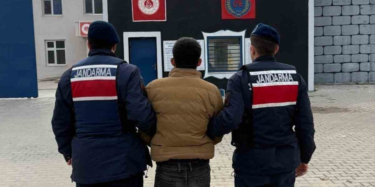 Jandarma aranan 50 kişiyi gözaltına aldı