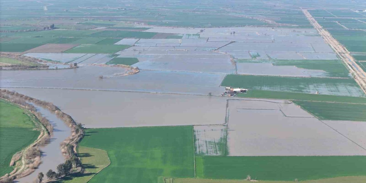 Menderes taştı, yüzlerce dönüm sular altında kaldı