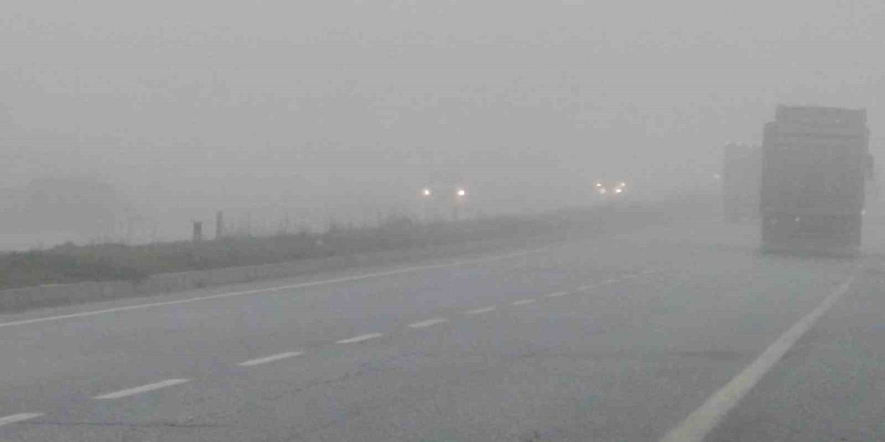 Aydın’da sis sürücülere zor anlar yaşatıyor