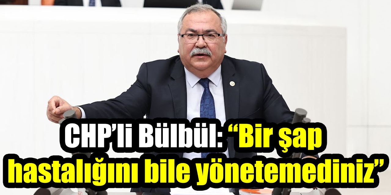 CHP’li Bülbül: “Bir şap hastalığını bile yönetemediniz”