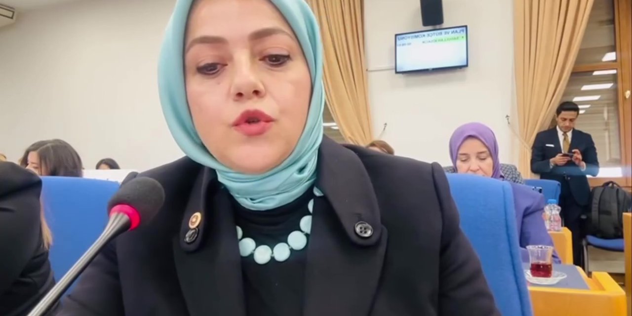 Denizli Milletvekili Ün kayıp 104 bin çocuğu sordu