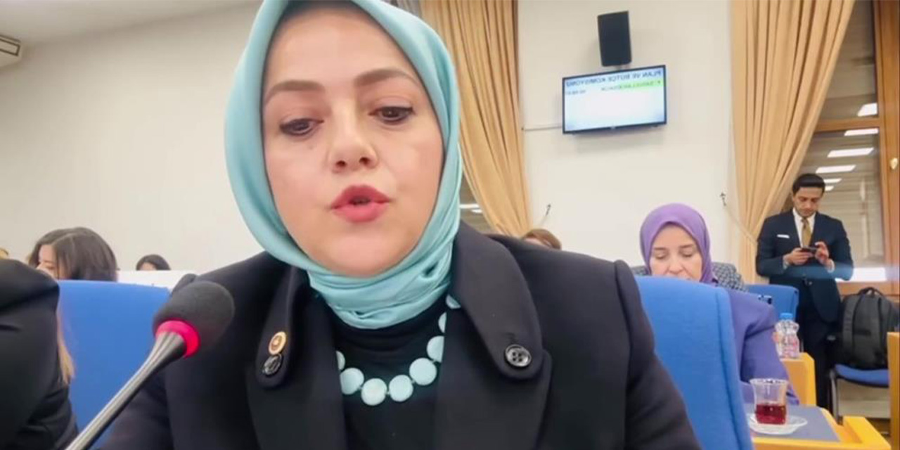 Milletvekili Ün kayıp 104 bin çocuğu sordu