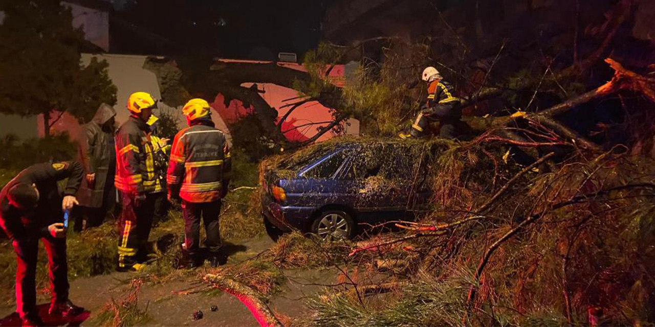 Aydın’da fırtına dehşeti: Ağaç otomobilin üzerine devrildi, 2 yaralı