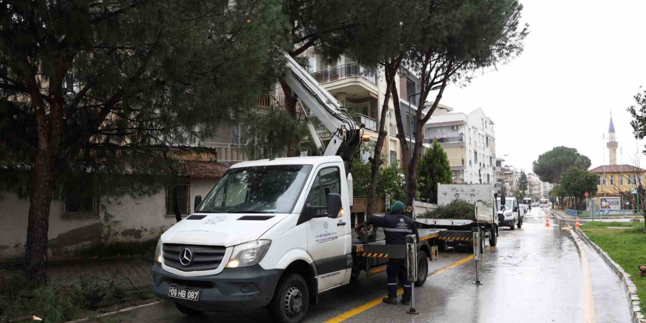 Aydın Büyükşehir Belediyesi’nden Efeler’in yeşil alanlarına bakım