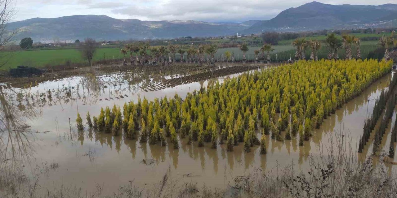 Sağanak yağış Ödemiş’te zarara neden oldu