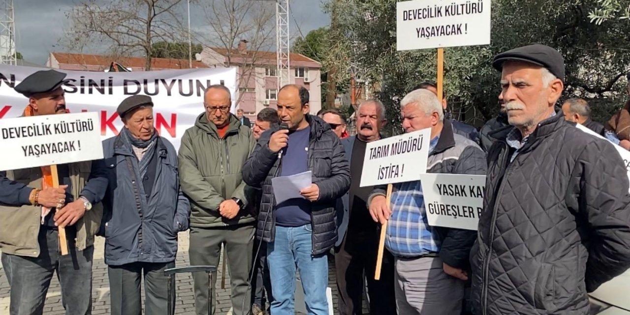 DEGÜF üyeleri deve güreşlerinin yapılmamasını protesto etti