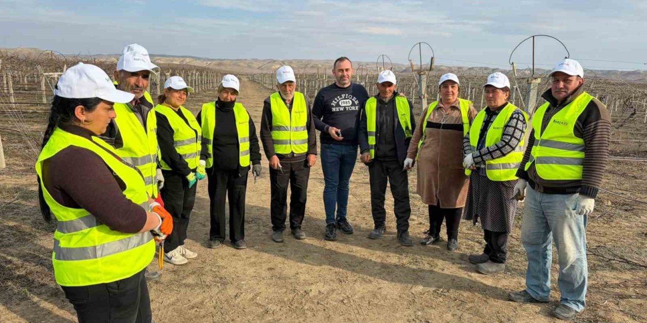 Sarıgöllü ziraat mühendisi Azerbaycan’da bağ budama tekniklerini öğretti