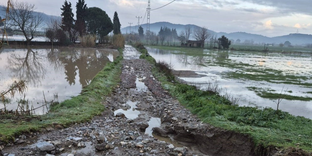 Söke’de aşırı yağış tarım ve hayvancılığı vurdu