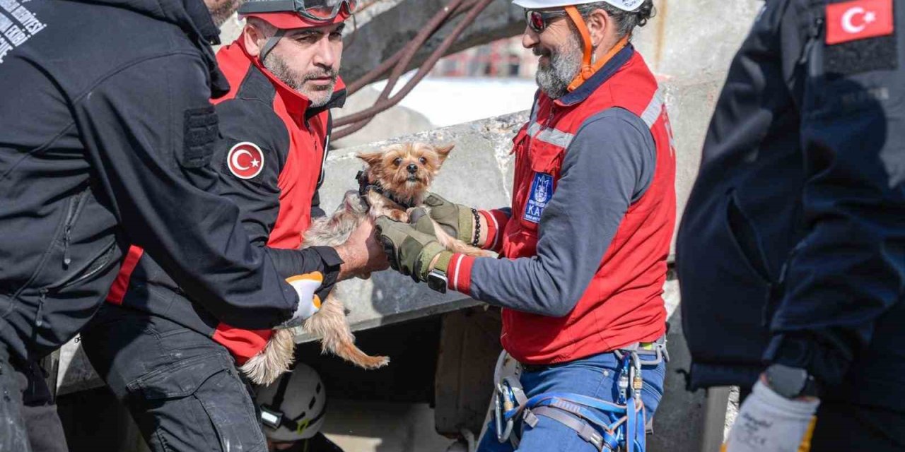 Afetlerde mahsur kalan hayvanlar unutulmayacak