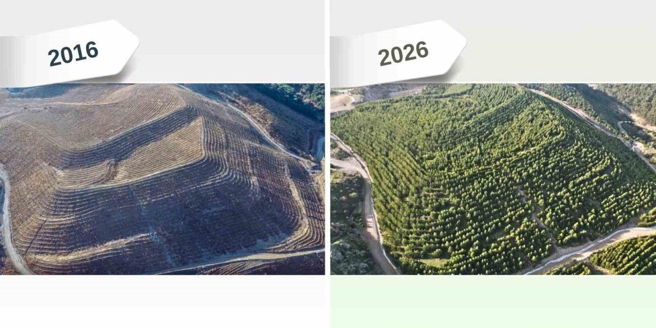 Maden sahaları rehabilitasyonla yeniden yeşeriyor