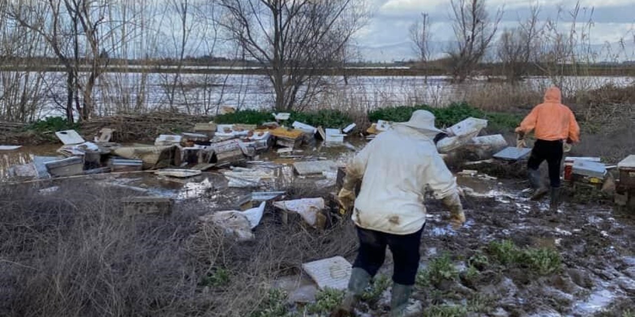 Salihli’de 103 kovan arı sele kapıldı