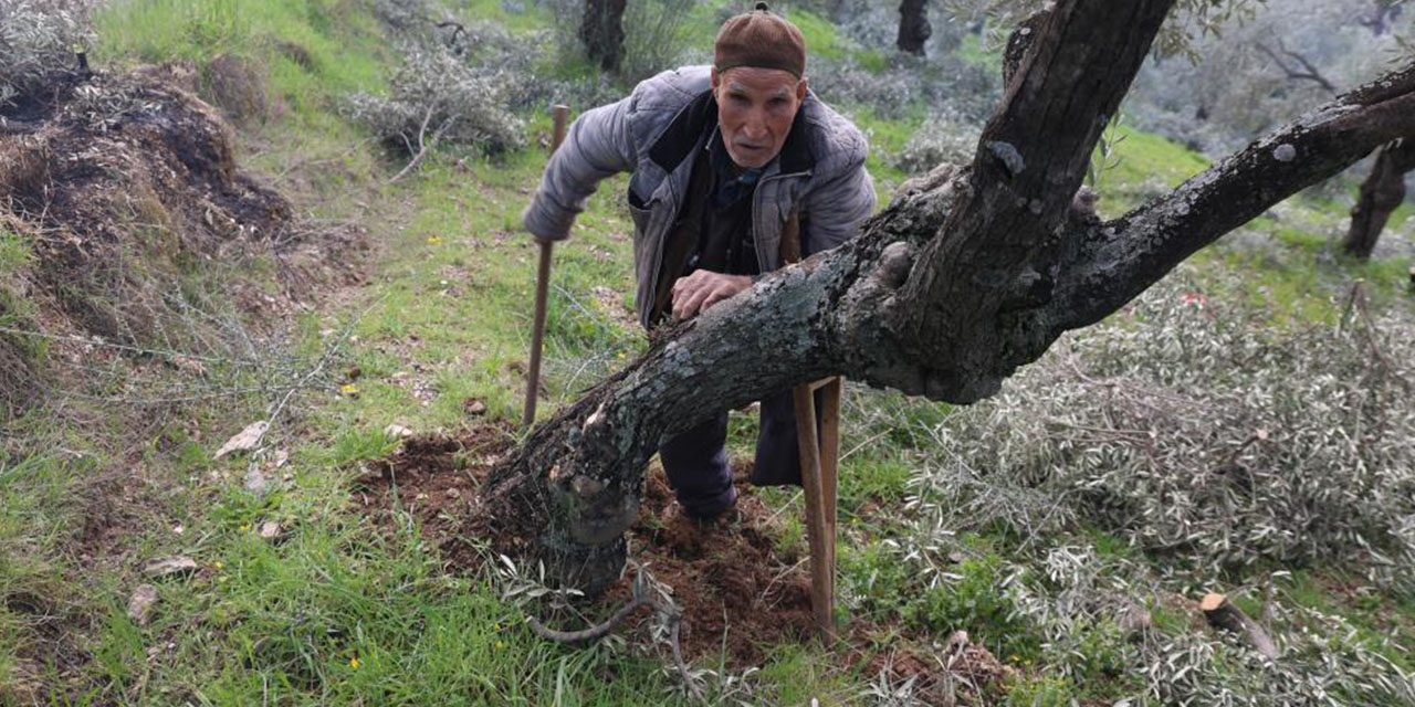 Tek ayağıyla hayata tutundu, azmiyle herkese örnek oldu