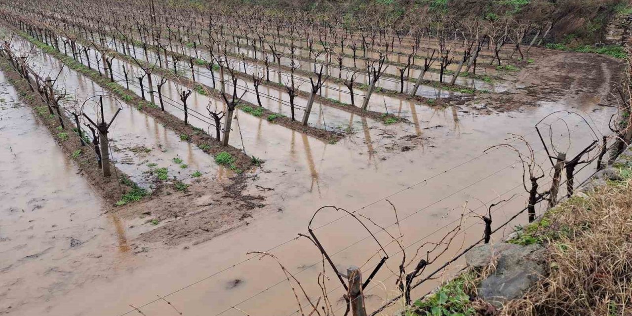 Sarıgöl’de bereketli yağmurlar yüzleri güldürdü