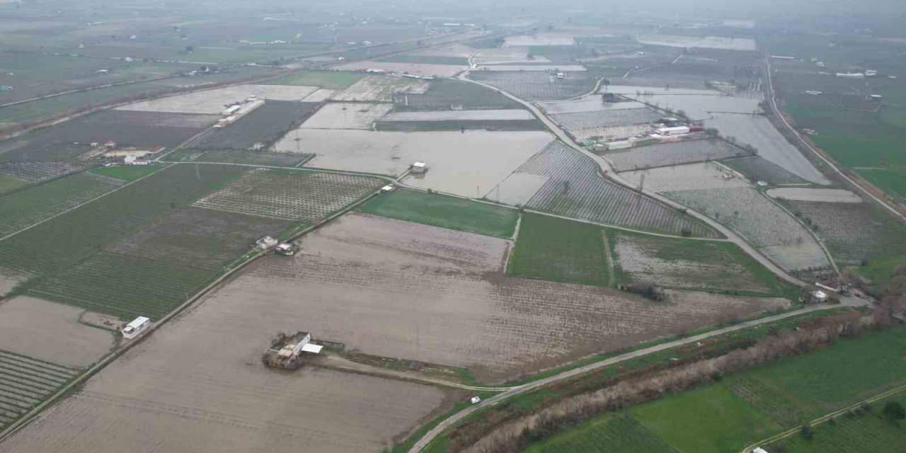 Yağışlar çiftçiyi umutlandırdı