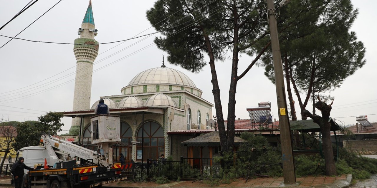 Şehzadeler Belediyesi’nin budadığı dallar ihtiyaç sahiplerinin ocağını ısıtıyor