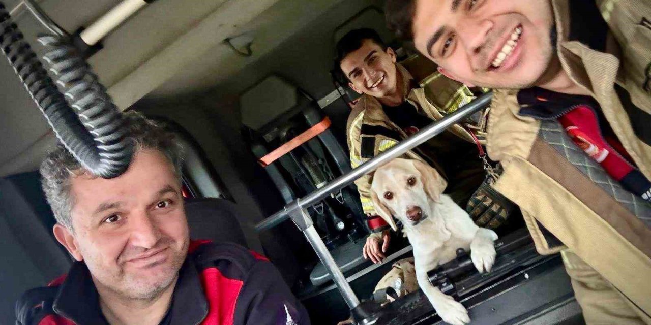 Umuda uzanan eller: Mahsur kalan köpeği itfaiye kurtardı
