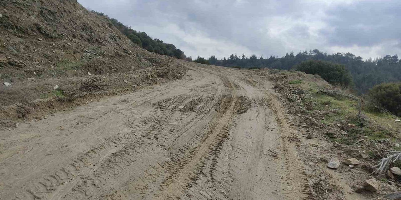 Toprak kayması nedeniyle okula gidemeyen öğrencilerin yolu açıldı