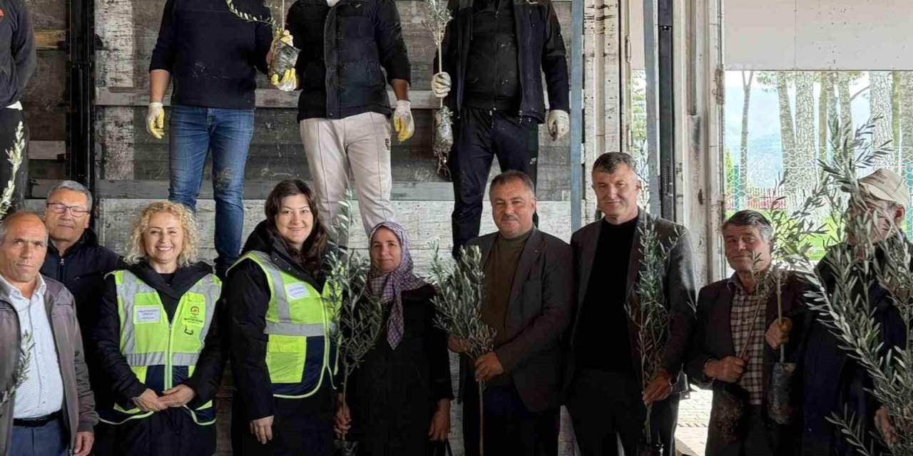 Beyağaç’ta kırsal kalkınmayı destek amacıyla zeytin fidanı dağıtımı gerçekleşti