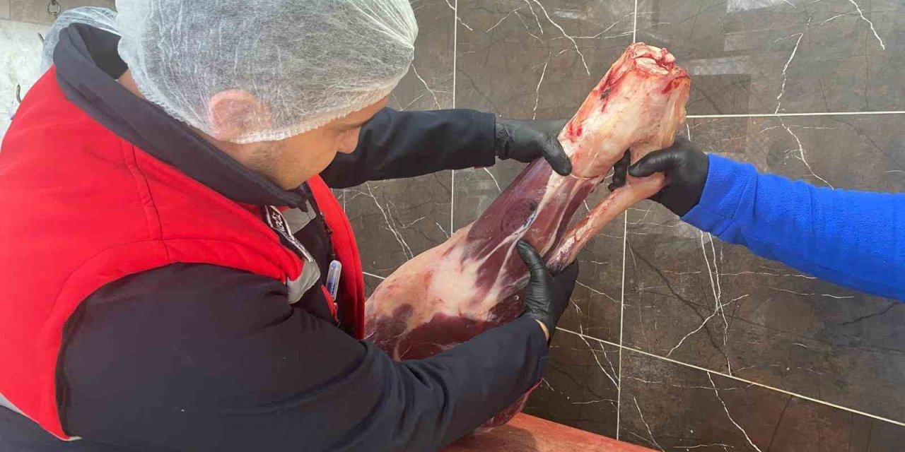 Gıda işletmelerine yönelik denetimler sürüyor