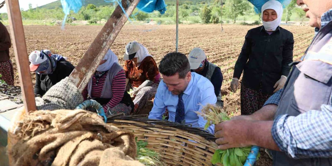 Başkan Tatık’tan tütün firmalarına ’Alım takvimi açıklayın’ çağrısı