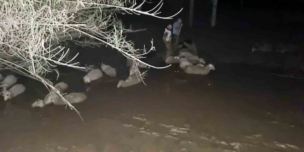 İtfaiyeden koyun kurtarma operasyonu