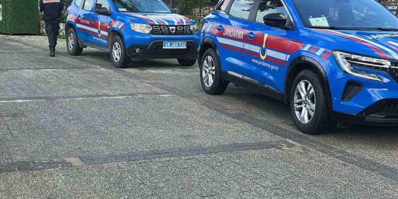 Bodrum’da iki köpeğin silahla vurulduğu iddiası